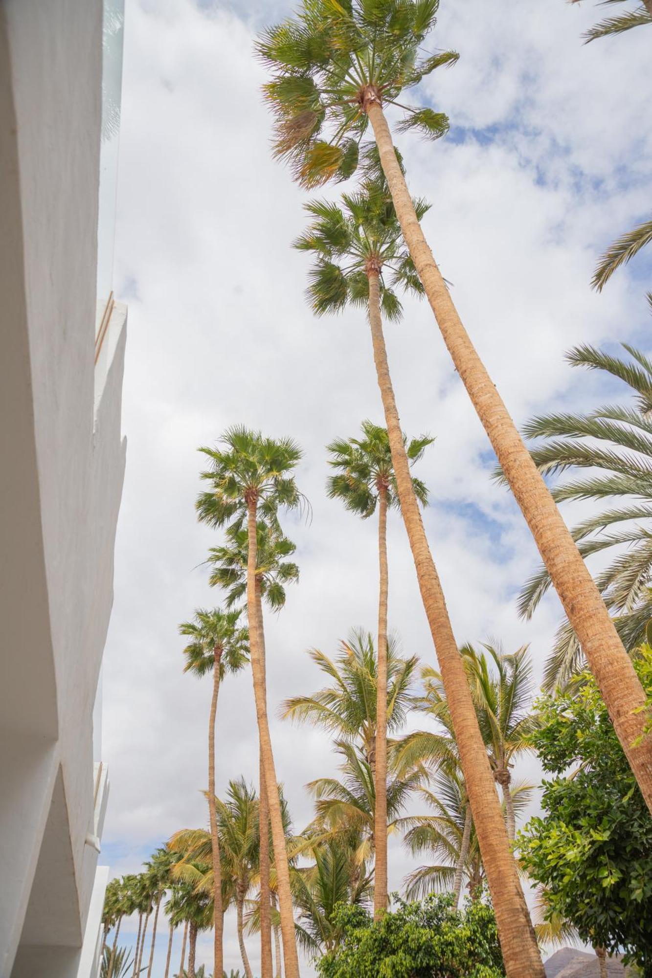 Palm Beach Fuerteventura Tarajalejo Eksteriør bilde