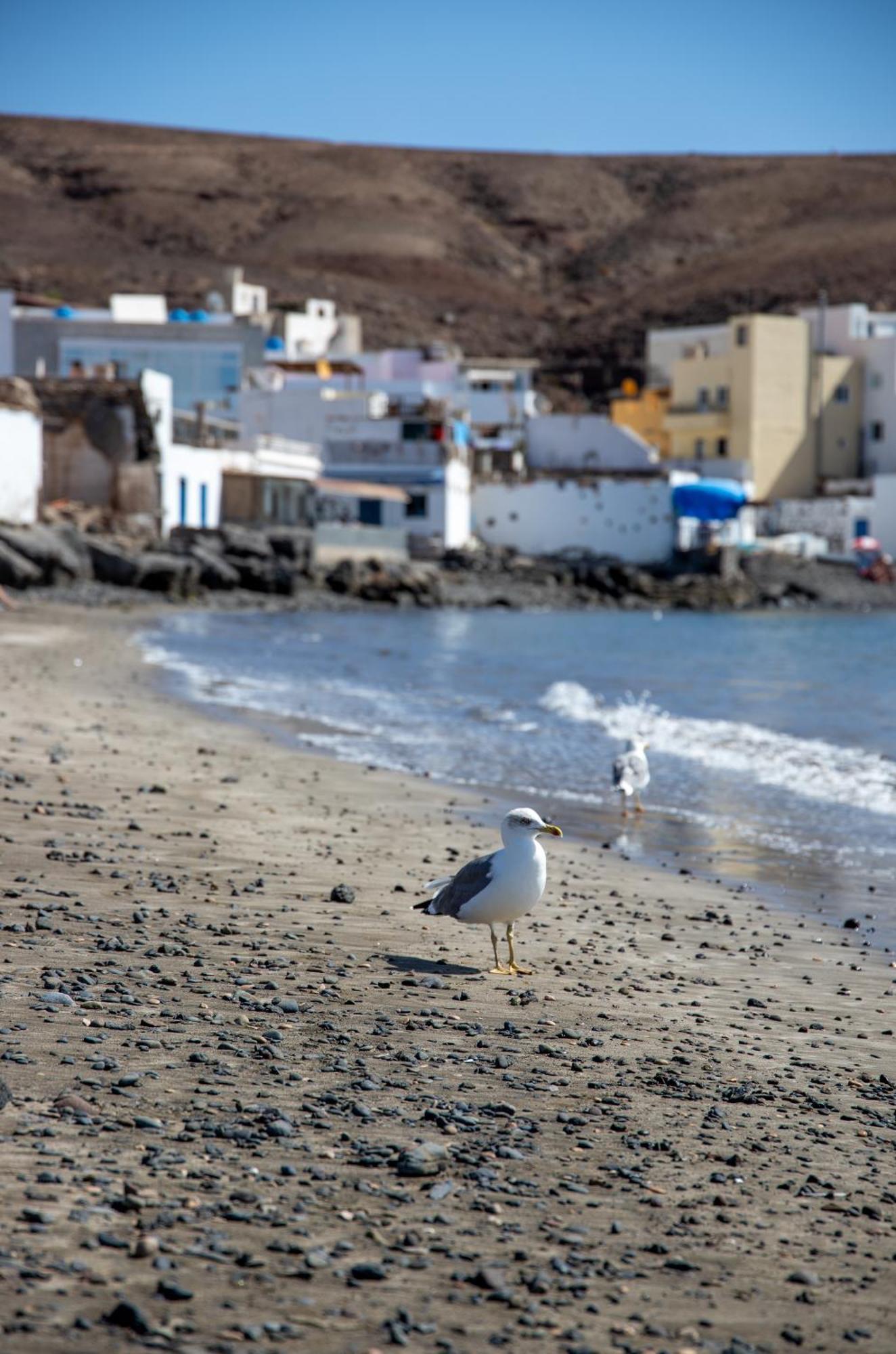 Palm Beach Fuerteventura Tarajalejo Eksteriør bilde